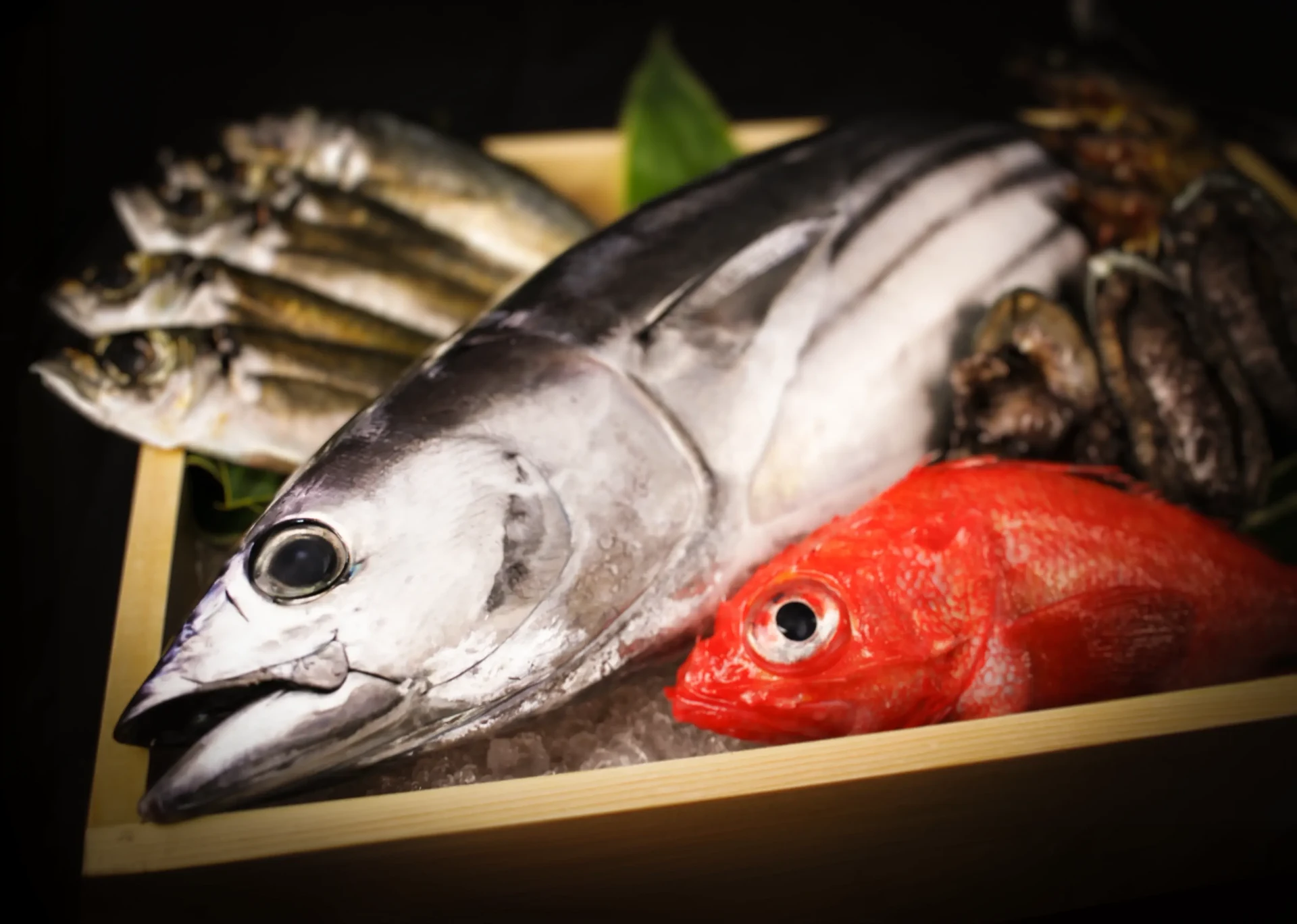 職人が目利きした旬の鮮魚