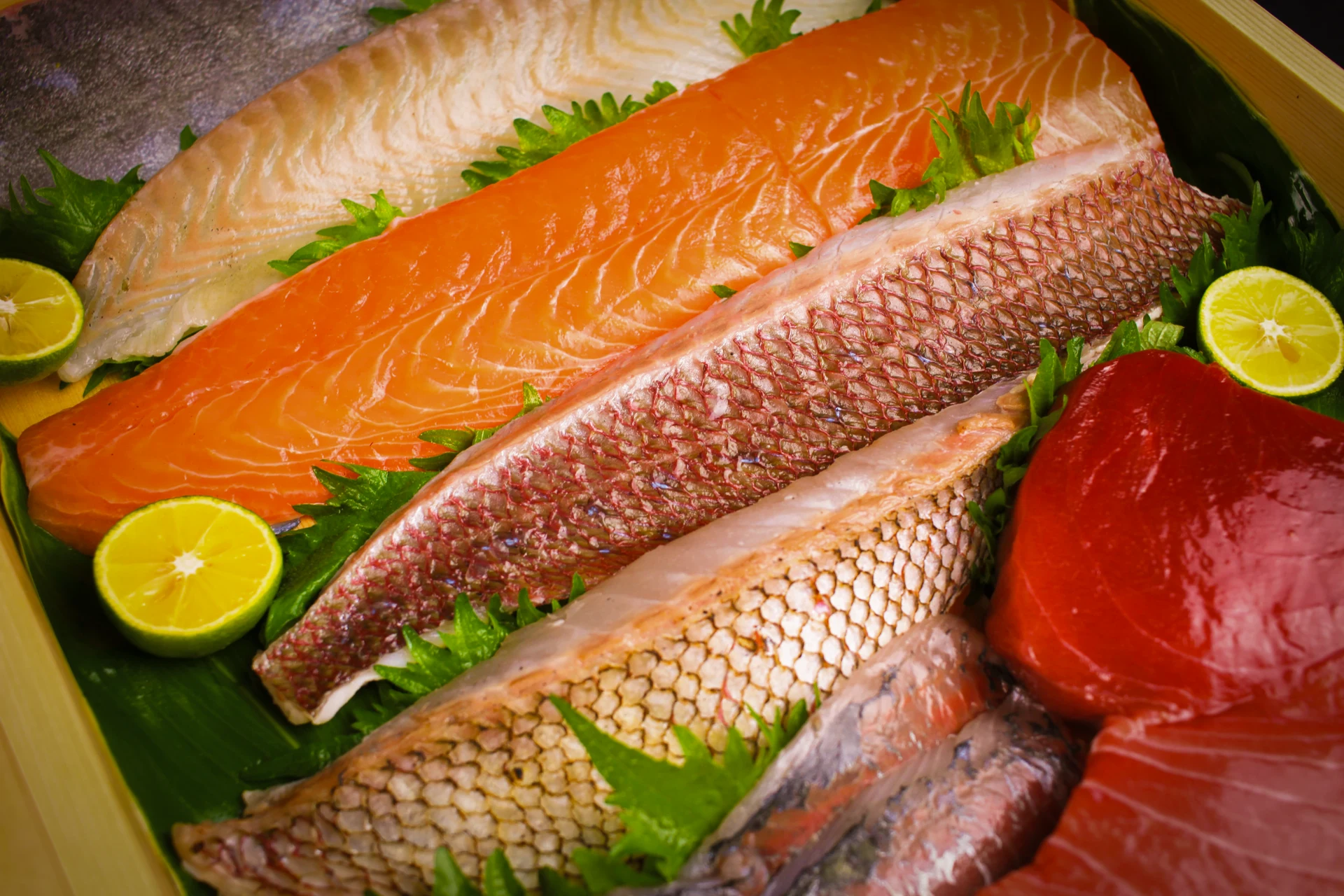 旬の魚を揃えた色鮮やかな寿司ネタ